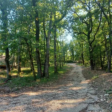 Yourte En Pleine Nature * Luzech
